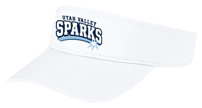 Visor